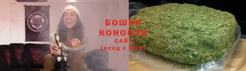 купить наркотик  Курчатов  Каннабис план 